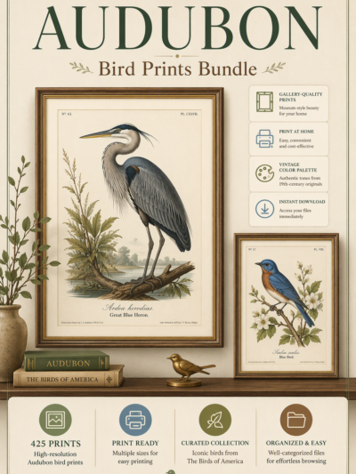 باكدج 425 لوحة طيور أودوبون (Audubon) للطباعة والديكور